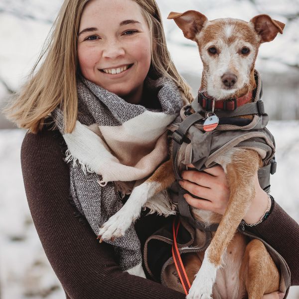 Hundeshooting Edemissen Schneeshooting Peine